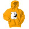Youth Core Fleece Pullover Hooded Sweatshirt Thumbnail