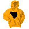 Youth Core Fleece Pullover Hooded Sweatshirt Thumbnail
