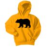Youth Core Fleece Pullover Hooded Sweatshirt Thumbnail