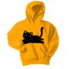 Youth Core Fleece Pullover Hooded Sweatshirt Thumbnail