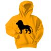 Youth Core Fleece Pullover Hooded Sweatshirt Thumbnail