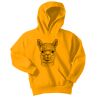 Youth Core Fleece Pullover Hooded Sweatshirt Thumbnail