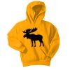 Youth Core Fleece Pullover Hooded Sweatshirt Thumbnail