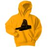 Youth Core Fleece Pullover Hooded Sweatshirt Thumbnail