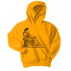 Youth Core Fleece Pullover Hooded Sweatshirt Thumbnail