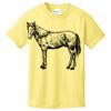 Youth Core Cotton Tee Thumbnail