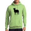 Core Fleece Pullover Hooded Sweatshirt Thumbnail